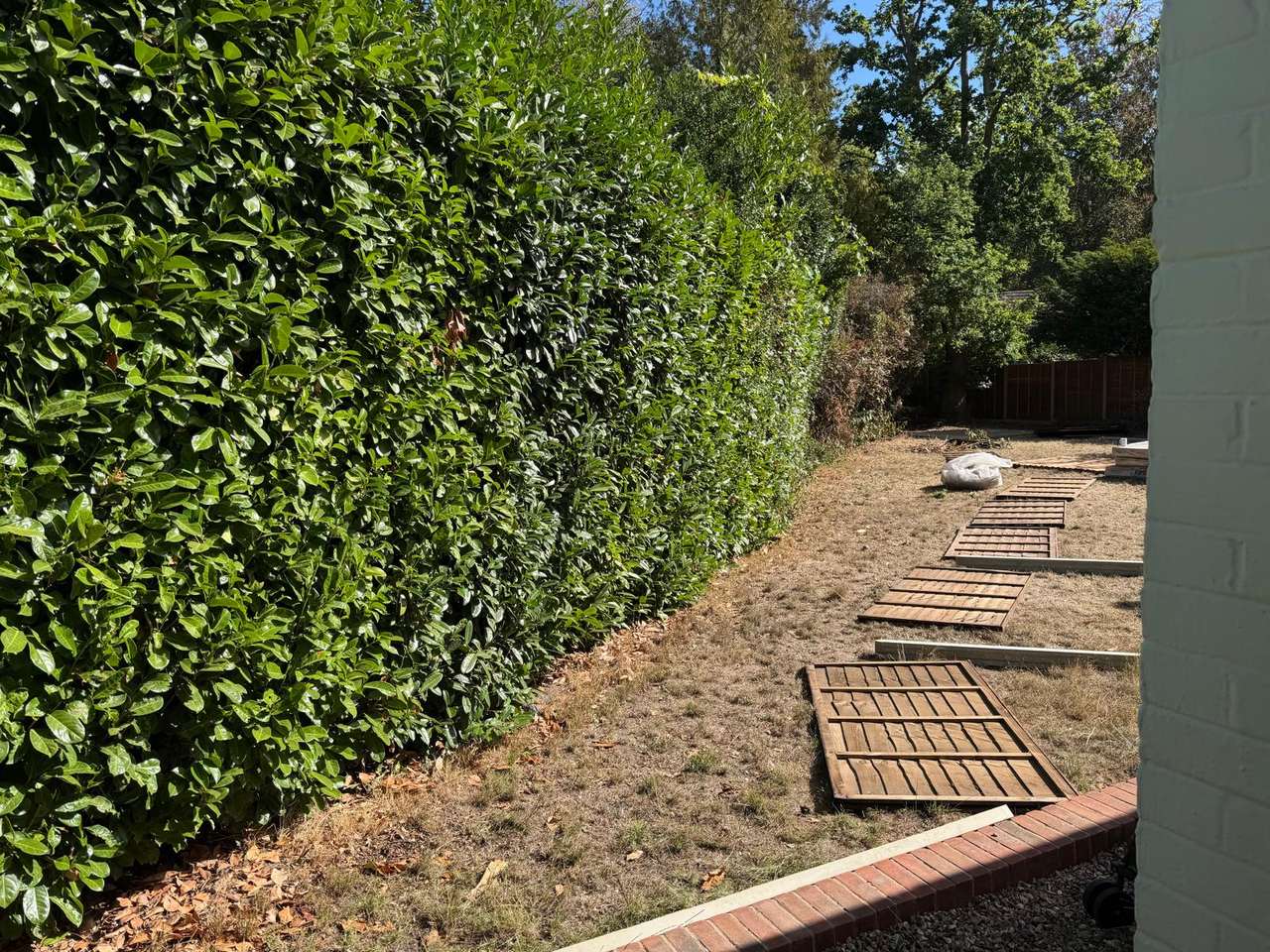 Old fence panels lifted off the posts and laid out on the grass beside a laurel hedge, ready for the new run
