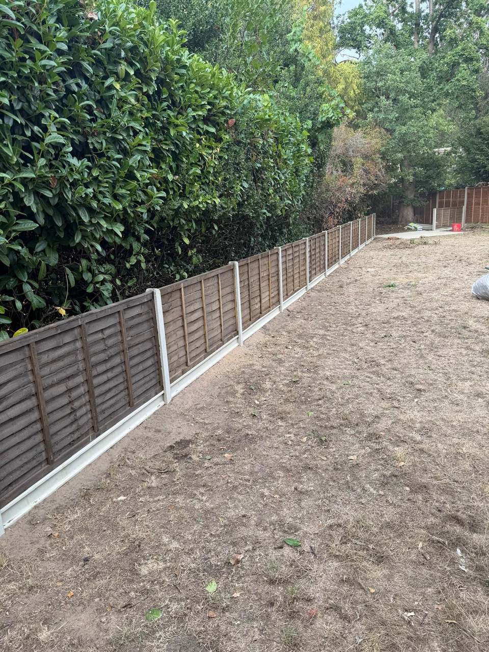 Long run of lap fence panels stretching down a garden with a laurel hedge above it