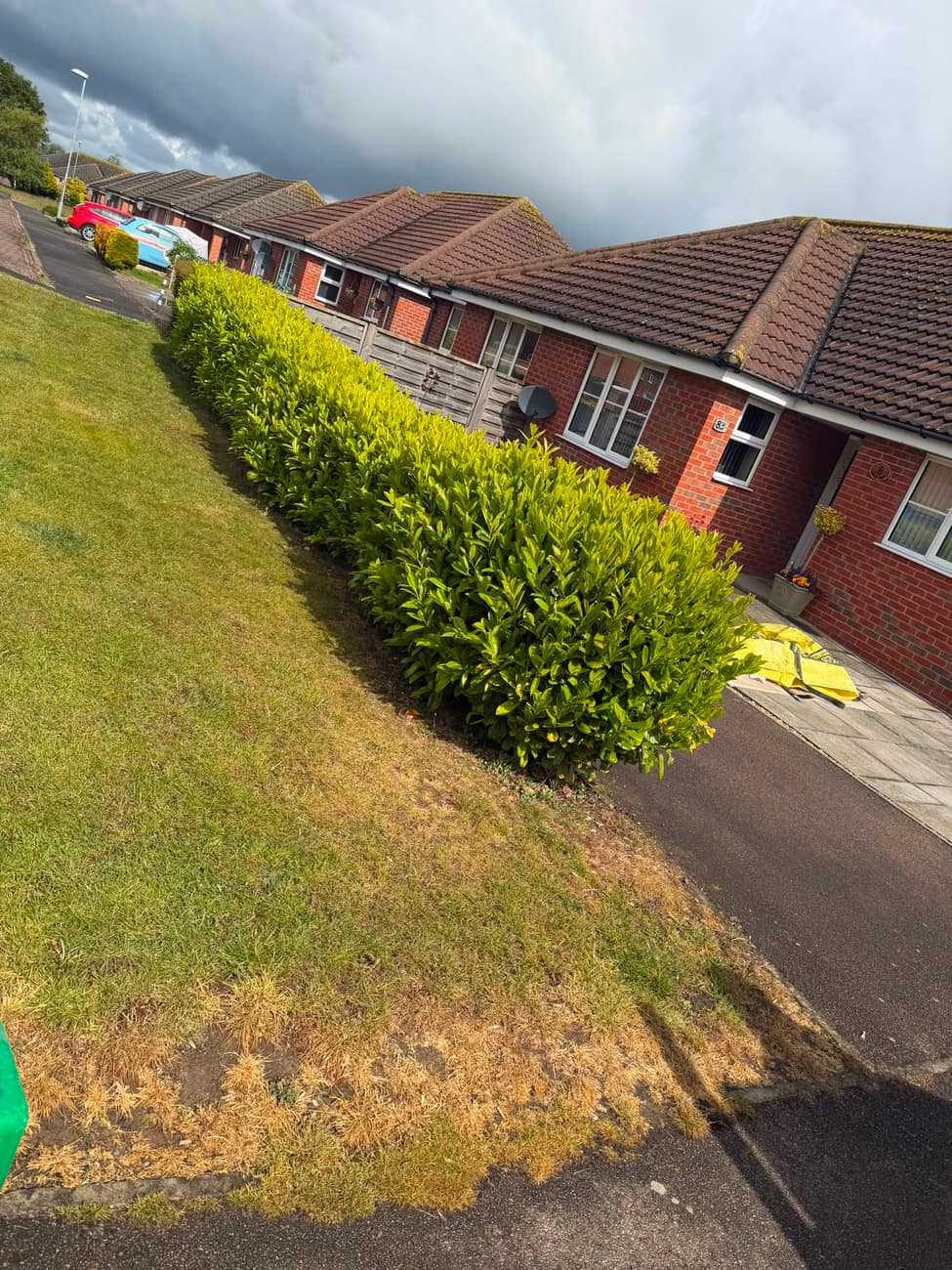Laurel hedge trimmed back to a clean line along a bungalow frontage